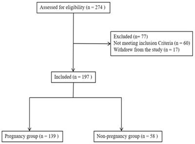 An endometrial receptivity scoring system evaluated by ultrasonography in patients undergoing frozen–thawed embryo transfer: a prospective cohort study